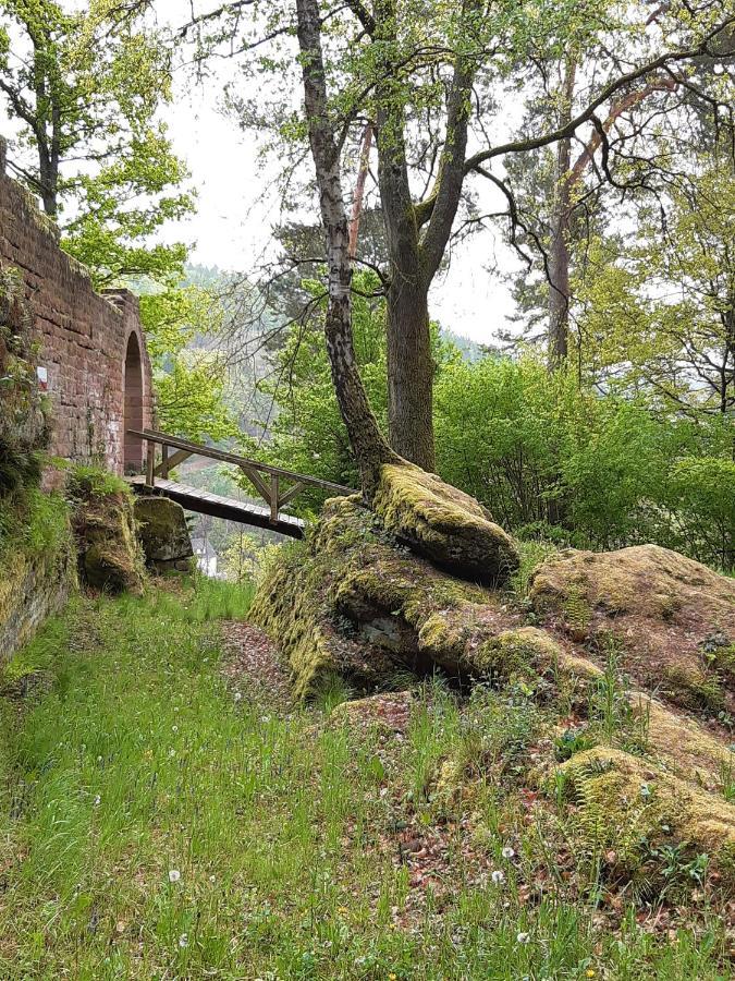 Apartamento Fewo Jule Thaleischweiler-Froschen Exterior foto